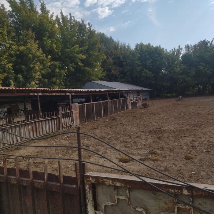 Дом молочная ферма