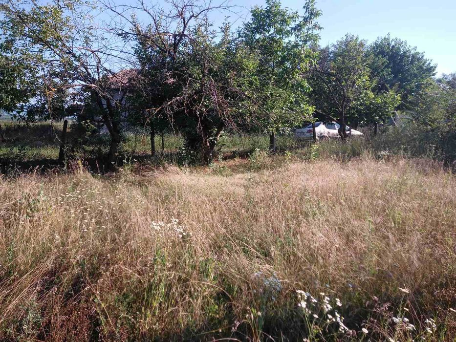 Продава се Парцел в Велики Преслав - 750 кв.м за 11 €/кв.м - Снимка #3