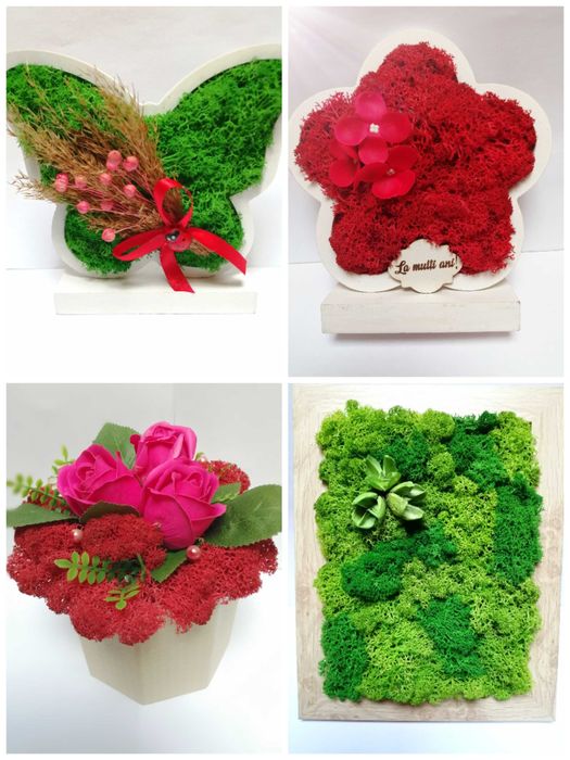 Decoratiuni licheni și plante stabilizate