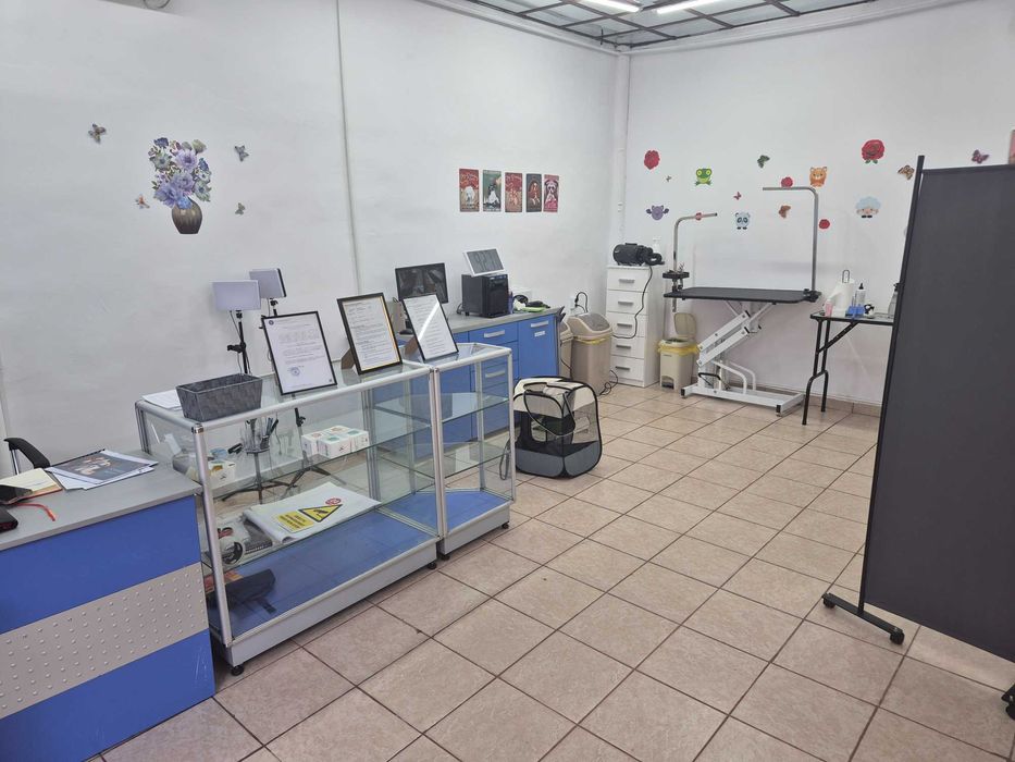 Salon Frizerie Canina si Felina de vanzare!