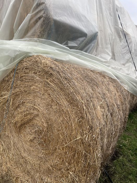 Бали люцерна и сено