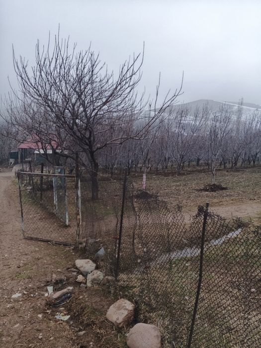 Uy sotladi srochni дом прадаётса срочни