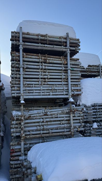 Аренда леса cup-lock(чашечные)