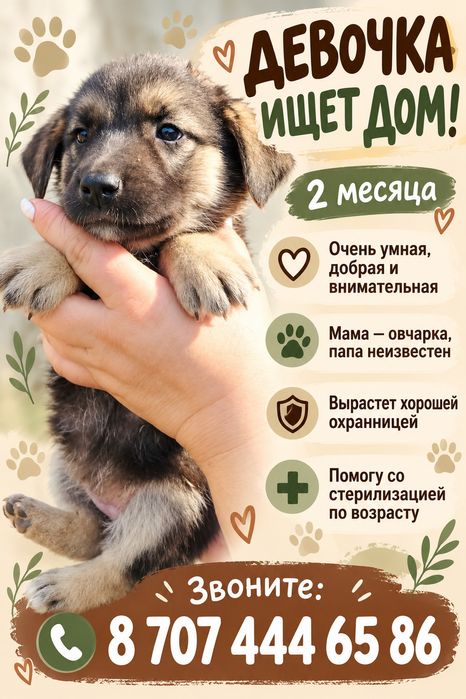 Отдам девочку в хорошие руки