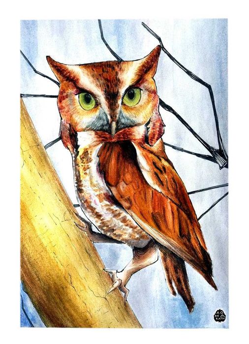 Meditatii desen/pictura pentru elevi si adulti