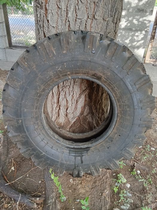 Шины 10.00.18. Новые