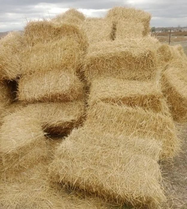 Продам солому срочно