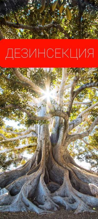 Dizinfeksiya skidka.garanti