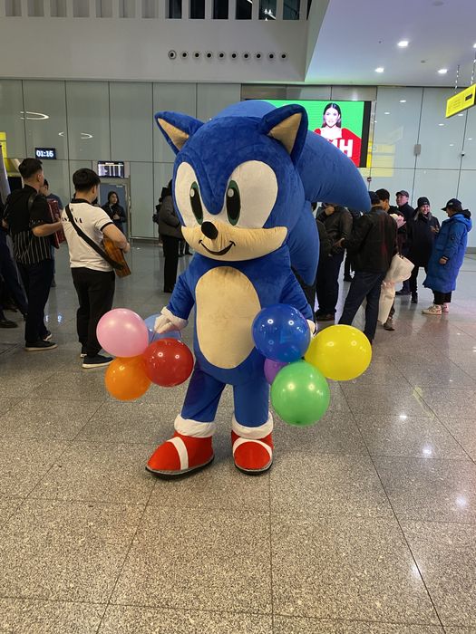 Аниматор Соник!Экспресс поздравление!