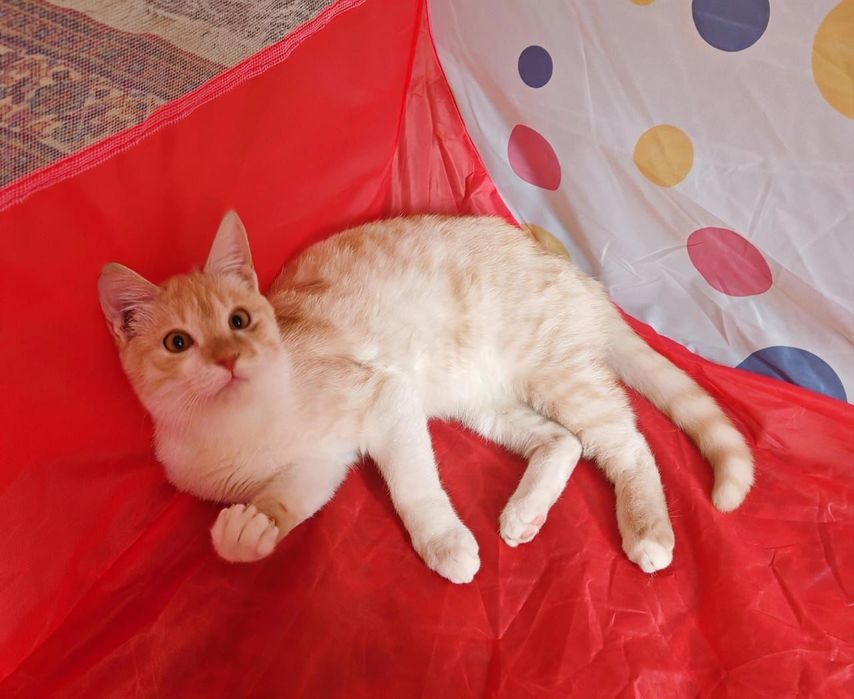 Мальчик 7 месяцев