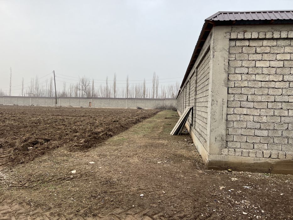 Продаеться земля недвижимость В Янгибазаре Юкори Чирчикском р-н.