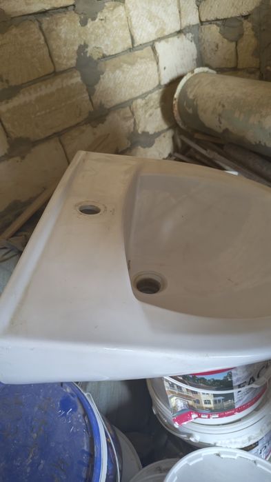 Раковина тюльпан