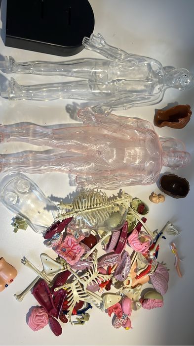 Набор детских книг "Анатомия человека"