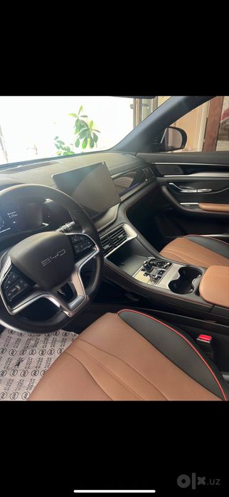 Byd chempion gibrit