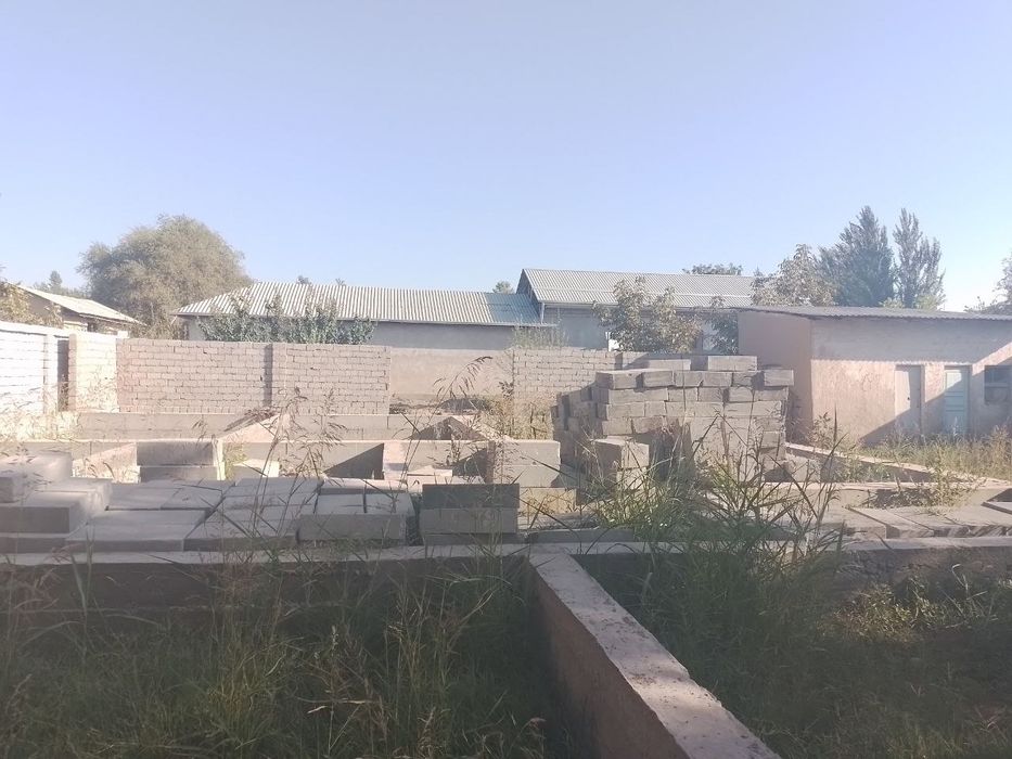 Toshkent shahriga yaqin joyda