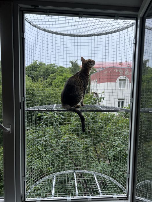 Балкон для кошек