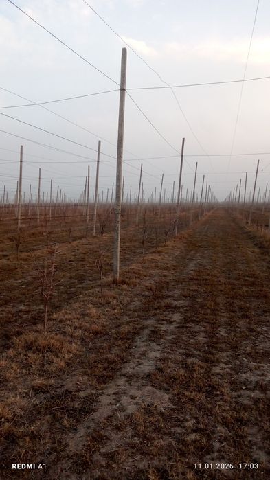 Бетонный стойки-Шпалера.Узумзор,богзор, ограждения учун 4.30м