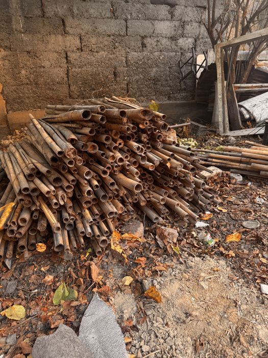 Продам бамбук сухой