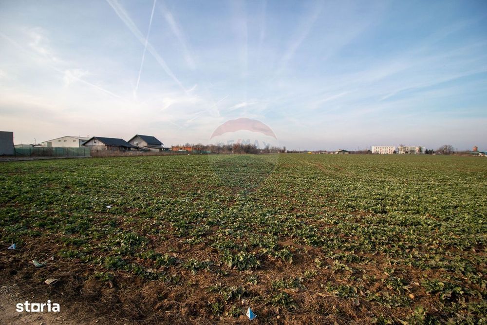 Teren Intravilan de vanzare 21000 mp Balotesti Central Soseaua Unirii