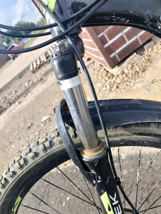 Пирадаю велик сирачна