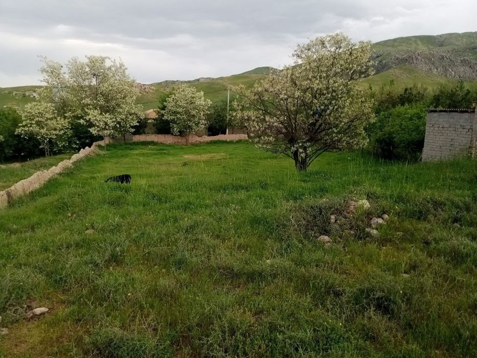 Дача 16 сотих кадастр хужжатлари бор