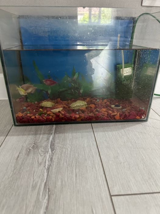Продам аквариум
