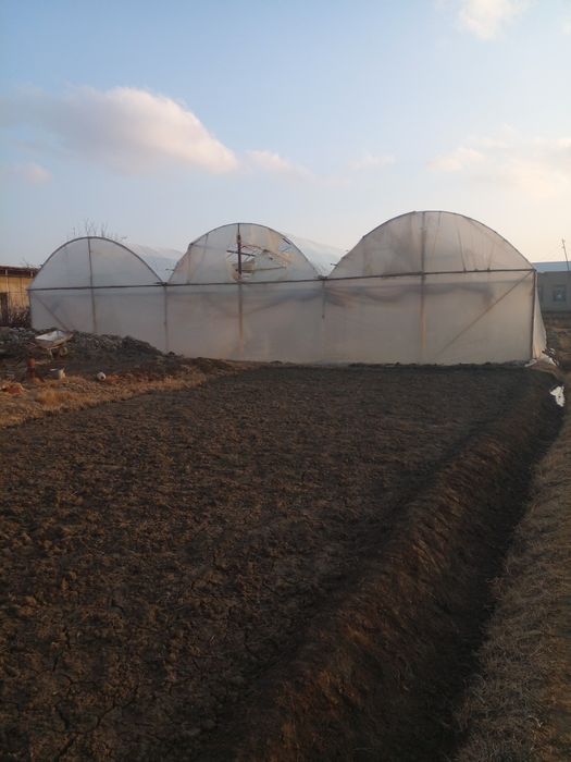 Иссикхона сотилади