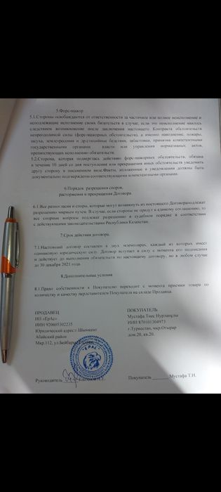 Цыплята несушки Ломан Браун