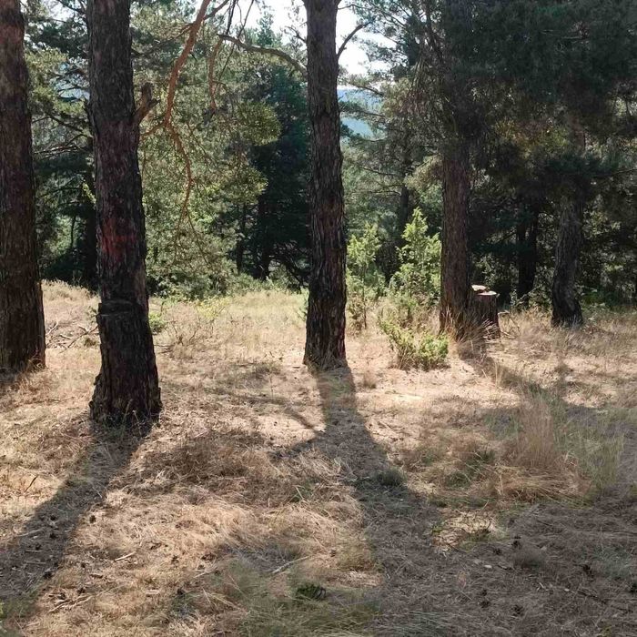 Продава се Парцел в с. Баня, Област Благоевград - 4840 кв.м за 7 €/кв.м - Снимка #1