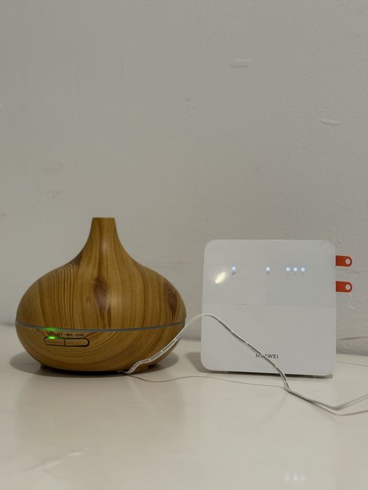 Cazare Inchiriez apartament ultracentral cu doua camere