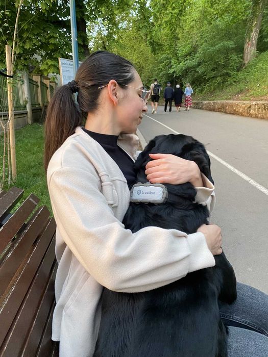 Pet / Dog Sitter - vizite la domiciliu Brasov