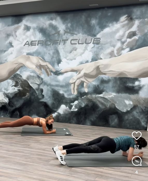 AEROFIT абономет на 6 месяцев!