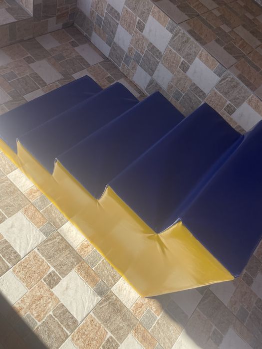 Scarita petru copii cu dezabilitati…..