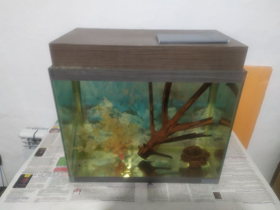 Аквариум 48л + бонусы и рыбки.