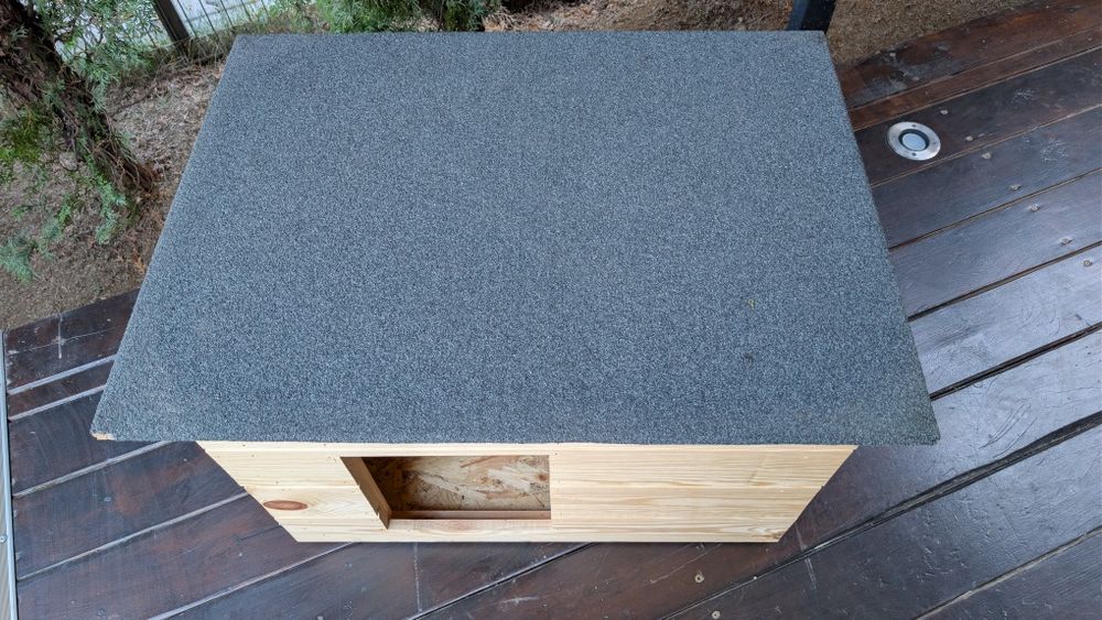 Cusca caine exterior izolata