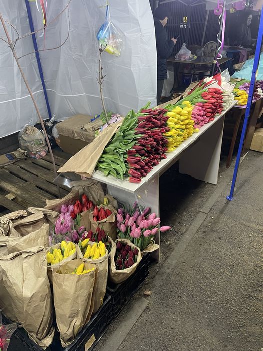 101 тюльпаны Алматы