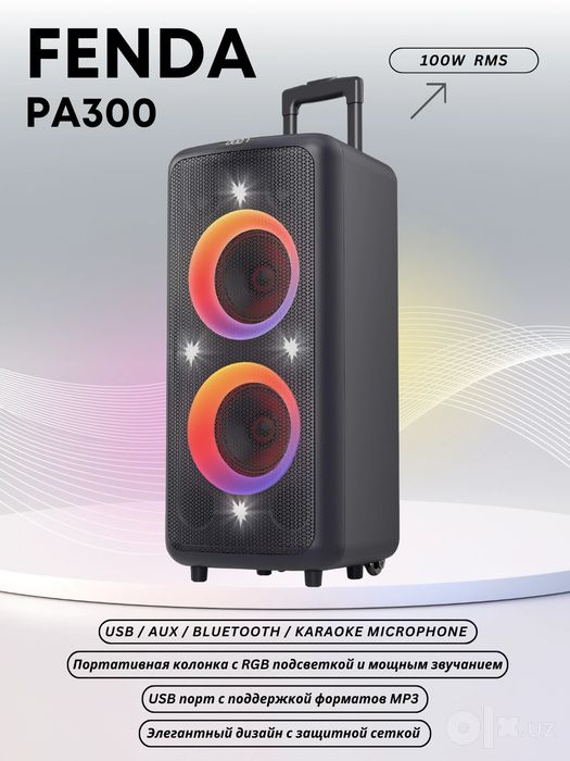 Колонка с микрофоном  Портативная колонка Fenda PA300 100W  сабвуфер