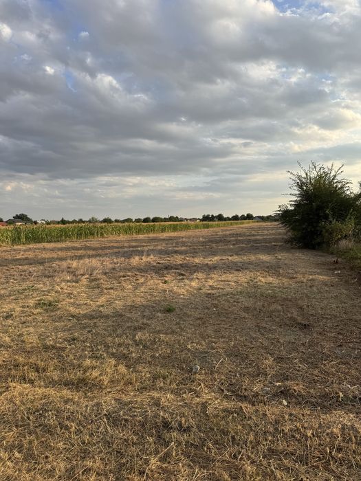 Vand teren intravilan, com. Campineanca, Vrancea