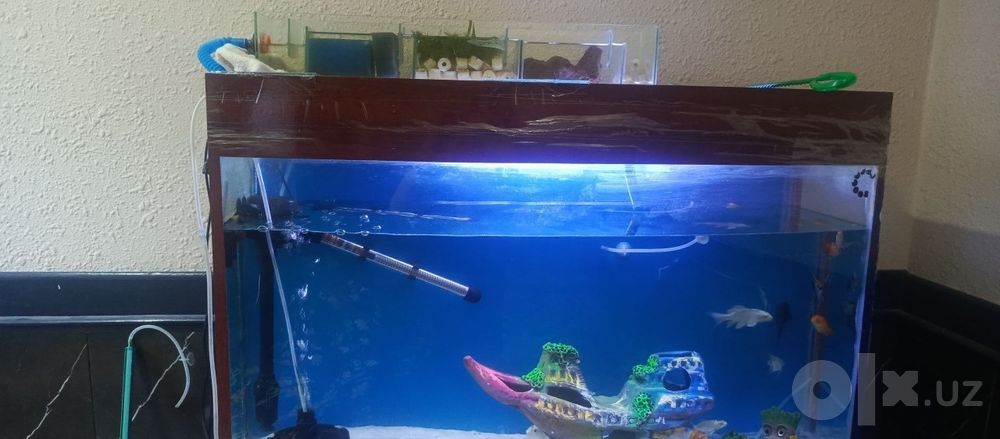 akvarium sotiladi 150 litr