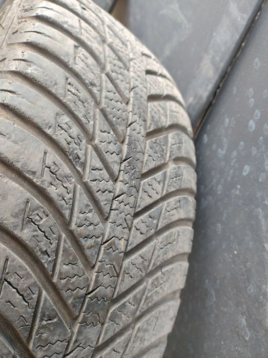 Всесезонни гуми 195/65/15 Nexen Nblue 4 season