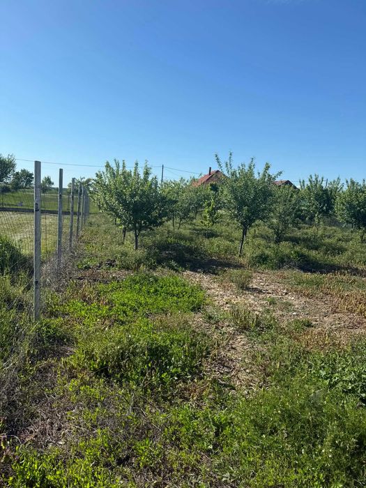 Casa de vanzare in Chisineu-cris