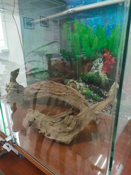 Продаётся террариум