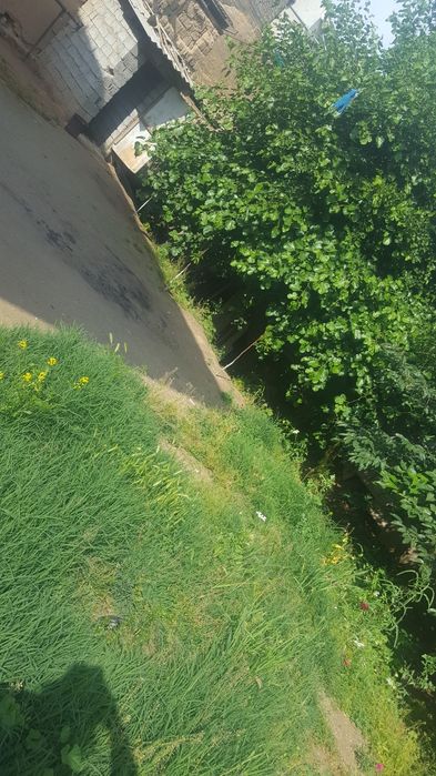 Дом в городе  Самарканд