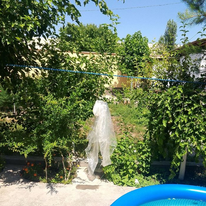 3 сотих Ер сотилади манзил ТОШЛОҚ  тумани 1..