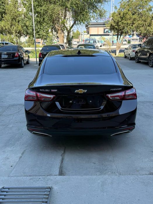 Malibu premier arzon narxda