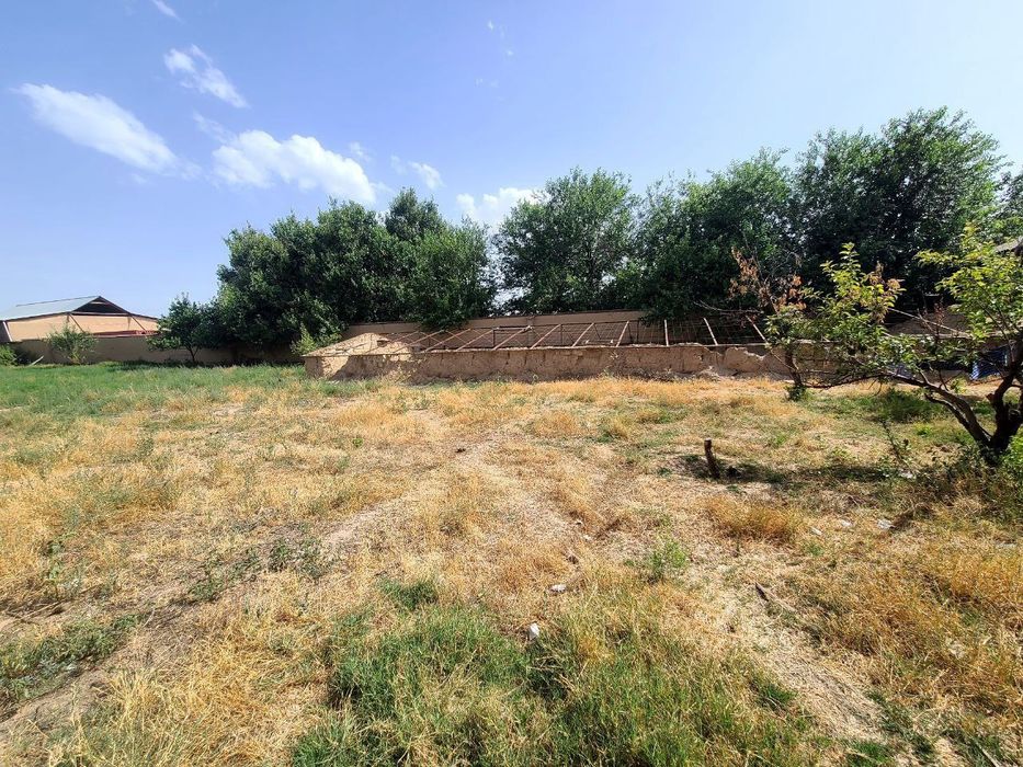 Томарка буш жой йер хисобида