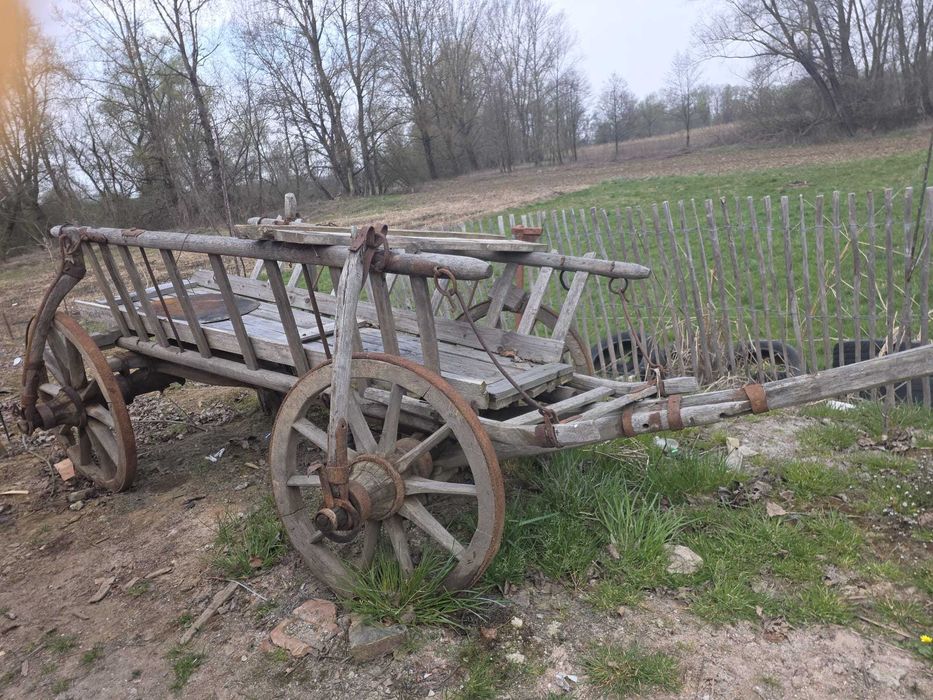 Car rustic /vechi decorativ in stare bună