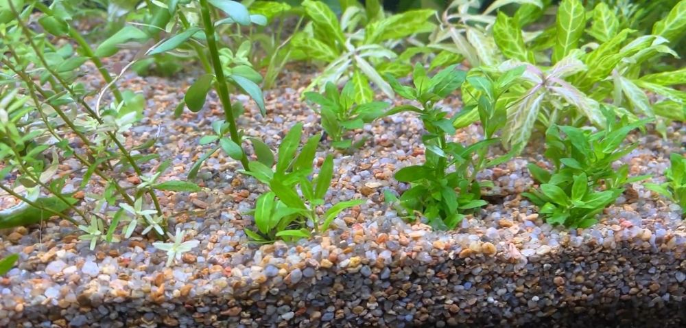 Грунт кварцевый 2-5 мл.