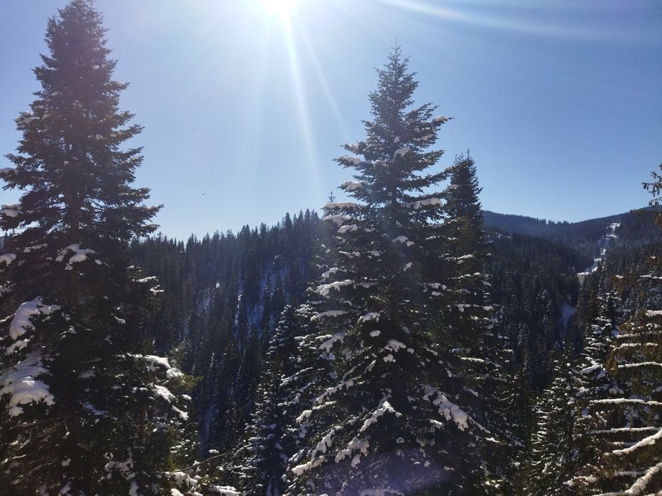 Продава се Двустаен апартамент в к.к. Пампорово - 69 кв.м за 1885 €/кв.м - Снимка #11