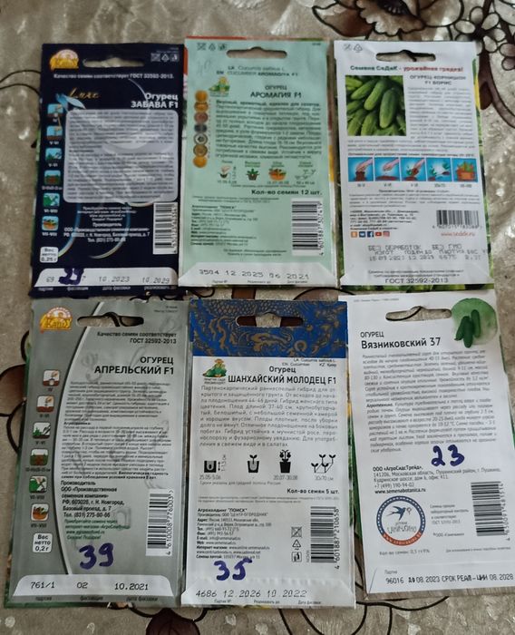 Бодиринг уруглари сотилади